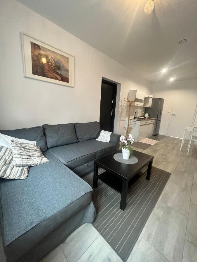 Apartament Wrzosowa Kudowa-Zdrój Buitenkant foto